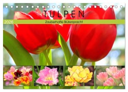 Tulpen. Zauberhafte Blütenpracht (Tischkalender 2026 DIN A5 quer), CALVENDO Monatskalender - Rose Hurley