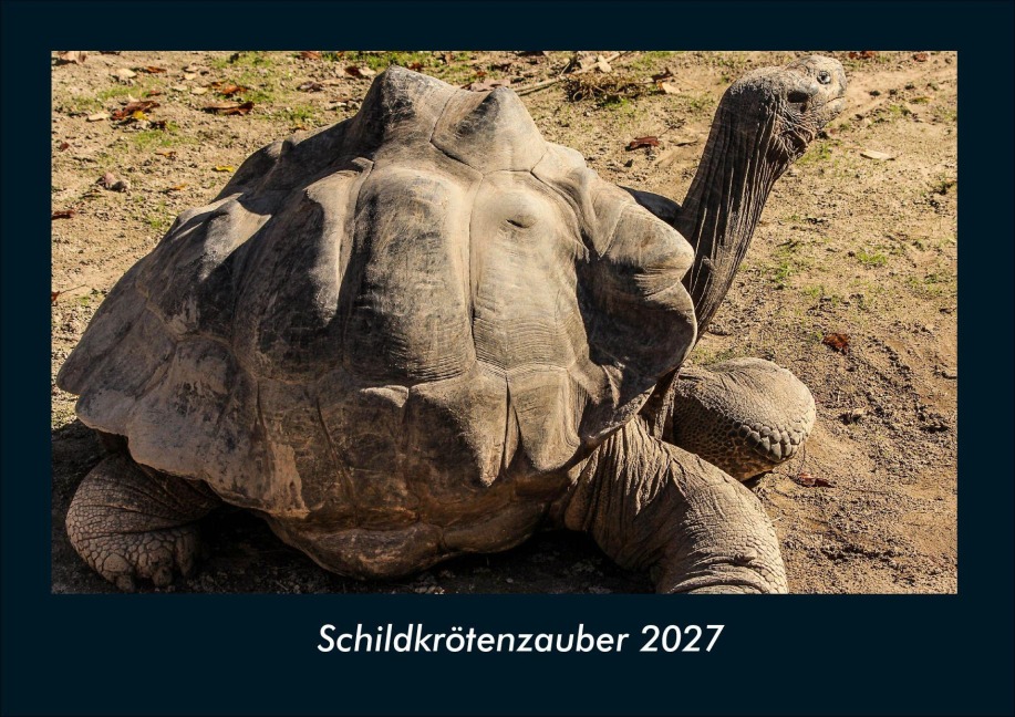 Schildkrötenzauber 2027 Fotokalender DIN A4 - Tobias Schmitt, Kevin Heber