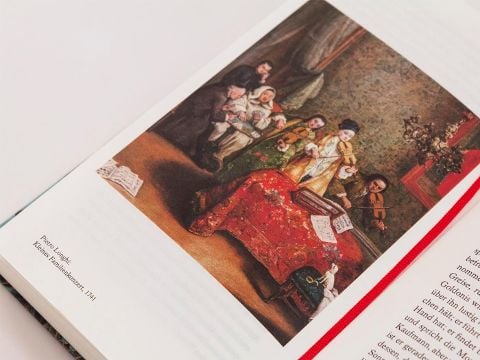 InsideView 6