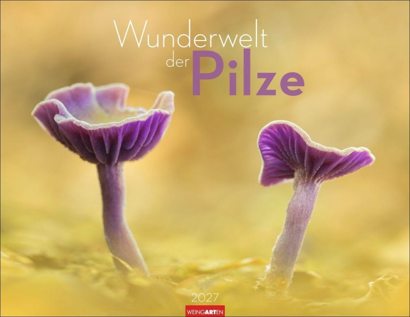 Wunderwelt der Pilze Kalender 2027 - 