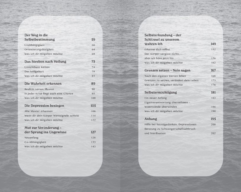 InsideView 6