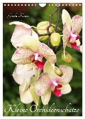 Kleine Orchideenschätze (Wandkalender 2024 DIN A4 hoch), CALVENDO Monatskalender - Gisela Kruse