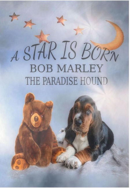 A Star is born - Bob Marley the Paradise Hound - Tanja Rothmeier-Forg