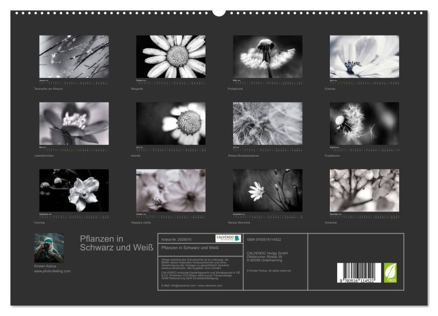 InsideView 4