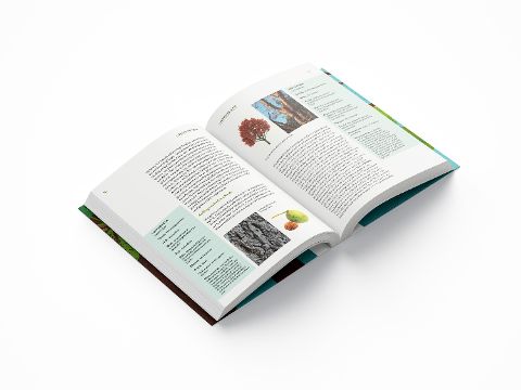 InsideView 2