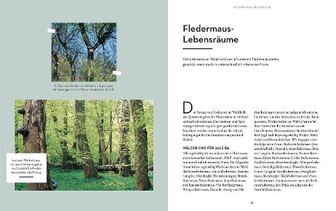 InsideView 3