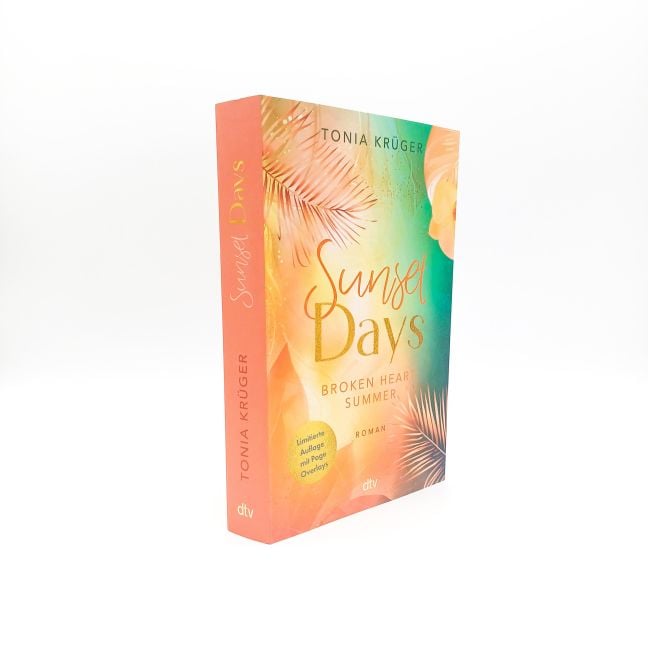 InsideView 2