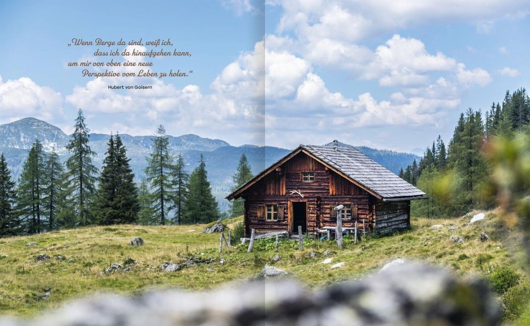 InsideView 5