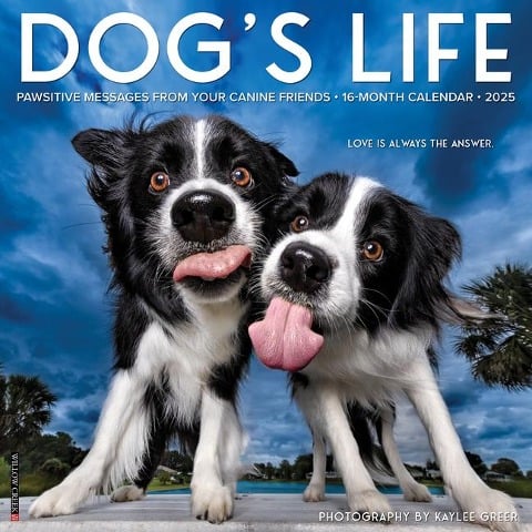 Dog's Life 2025 12 X 12 Wall Calendar - 