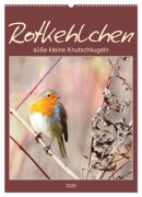 Cover-Bild zum Titel 'Rotkehlchen, süße kleine Knutschkugeln (Wandkalender 2026 DIN A2 hoch), CALVENDO Monatskalender' von 'Sabine Löwer'