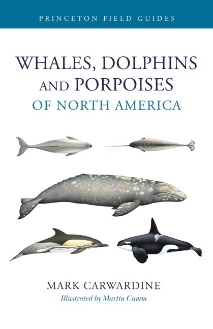 Whales, Dolphins, and Porpoises of North America - Mark Carwardine