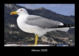 Cover-Bild zum Titel 'Möwen 2025 Fotokalender DIN A3' von 'Tobias Becker'