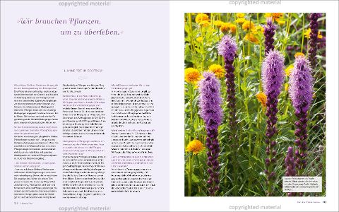 InsideView 10