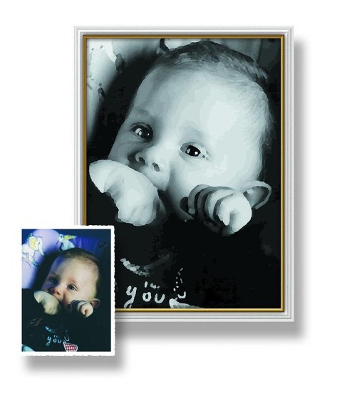 Schipper Malen nach Zahlen. Male deinen Liebling - 