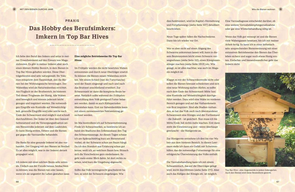 InsideView 5