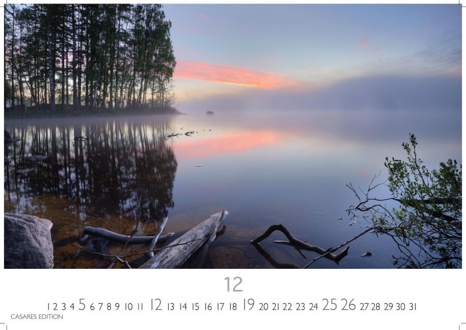 InsideView 12