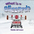 What Is a Blizzard? - Robin Johnson