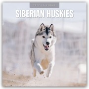 Cover-Bild zum Titel 'Siberian Huskies - Sibirischer Husky - Sibirische Huskys 2027 - 16-Monatskalender' von 'Robin Red'