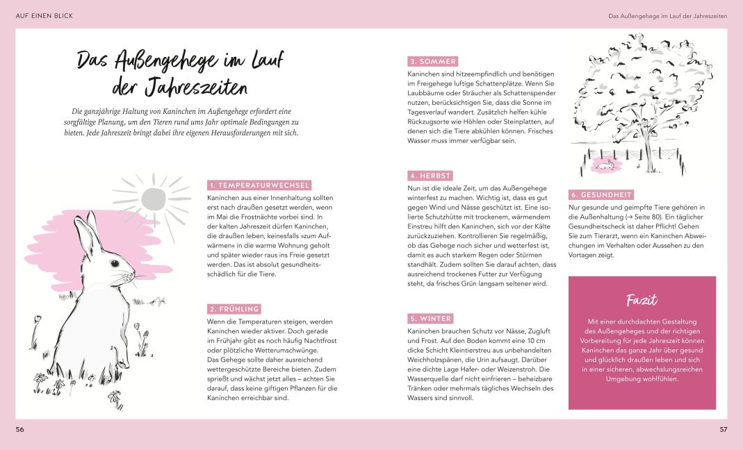 InsideView 5