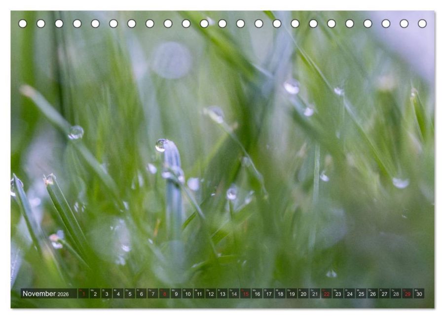 InsideView 3