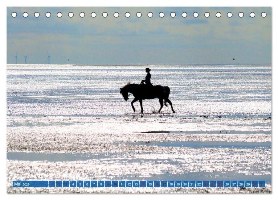 InsideView 10