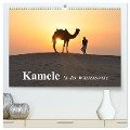 Kamele in der Wüstensonne (hochwertiger Premium Wandkalender 2025 DIN A2 quer), Kunstdruck in Hochglanz - Elisabeth Stanzer