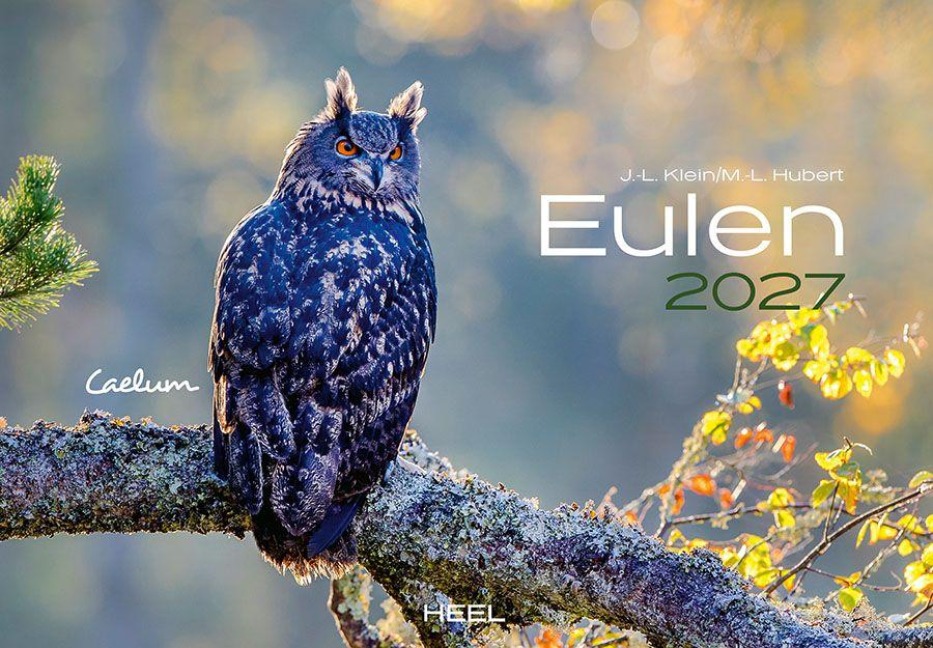 Eulen Kalender 2027 - J. -L. Klein, M. -L. Hubert