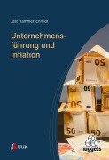 Cover-Bild zum Titel 'Unternehmensführung und Inflation' von 'Jost Hammerschmidt'