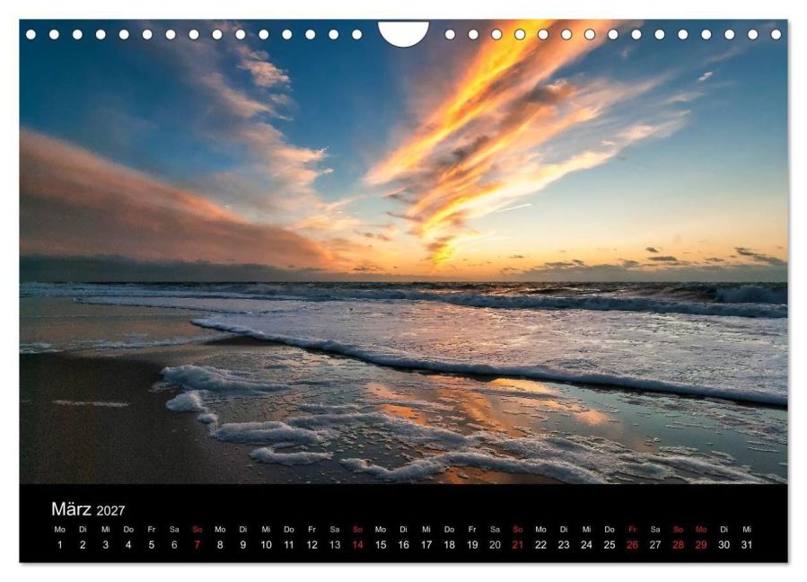 InsideView 8