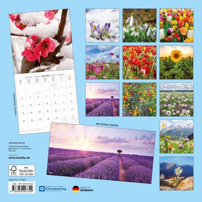 InsideView 13