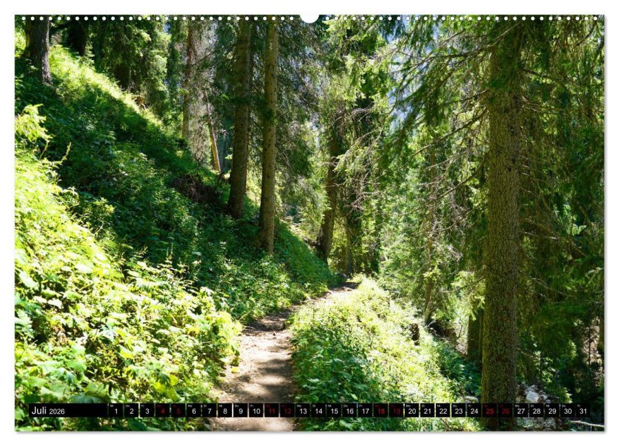 InsideView 12