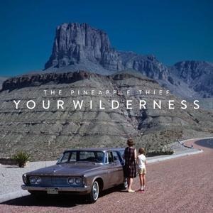 Your Wilderness - The Pineapple Thief