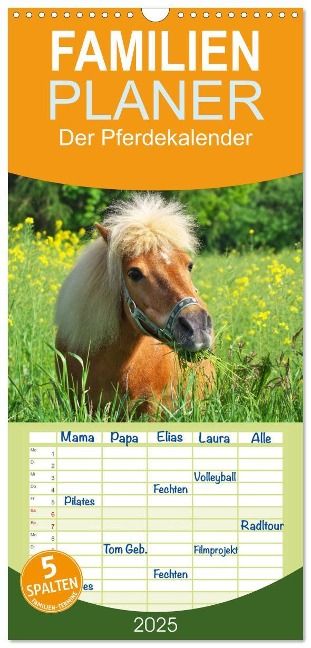 Familienplaner 2025 - Der Pferdekalender mit 5 Spalten (Wandkalender, 21 x 45 cm) CALVENDO - AD DESIGN Photo PhotoArt Dölling
