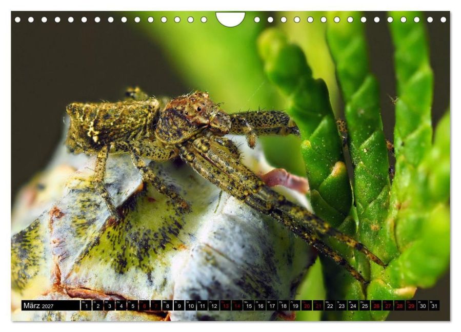 InsideView 8