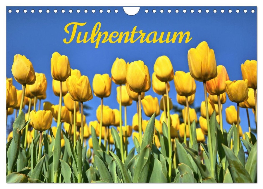 Tulpentraum (Wandkalender 2026 DIN A4 quer), CALVENDO Monatskalender - (C) By Insideportugal