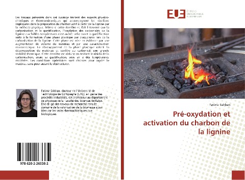 Pré-oxydation et activation du charbon de la lignine - Fatima Sahban