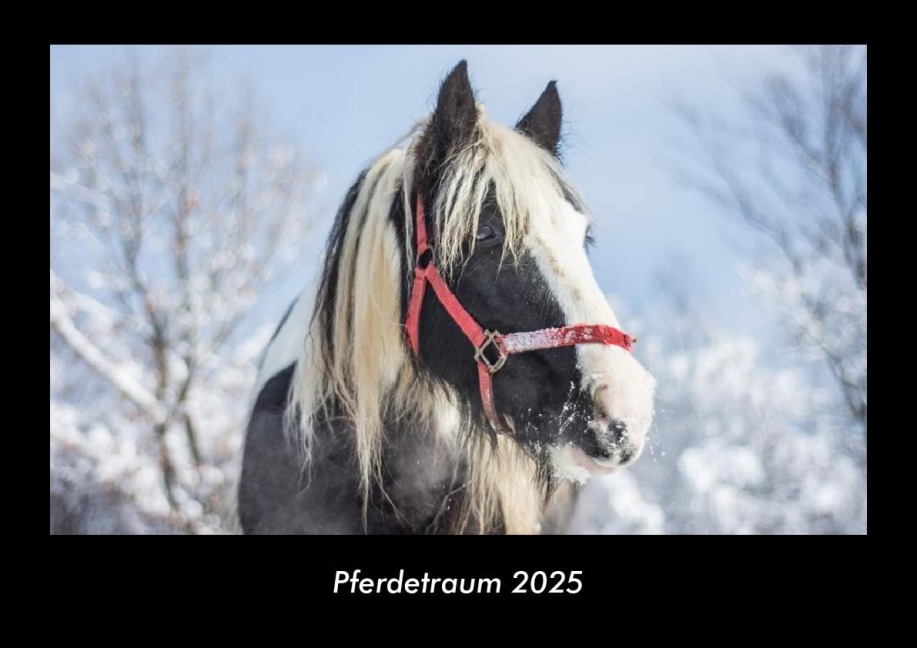 Pferdetraum 2025 Fotokalender DIN A3 - Tobias Becker