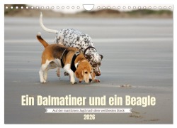 Cover-Bild zum Titel 'Ein Dalmatiner und ein Beagle - Auf der maritimen Jagd nach dem weltbesten Stock (Wandkalender 2026 DIN A4 quer), CALVENDO Monatskalender' von 'Daniela Tapper'