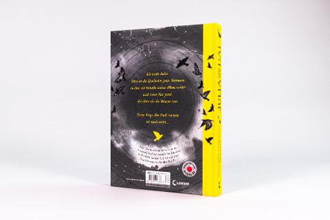InsideView 2