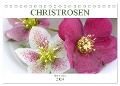 Christrosen (Tischkalender 2024 DIN A5 quer), CALVENDO Monatskalender - Gisela Kruse