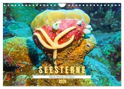 Cover-Bild zum Titel 'Seesterne - Kleine Wunder der Natur (Wandkalender 2026 DIN A4 quer), CALVENDO Monatskalender' von 'Andrea Hess'