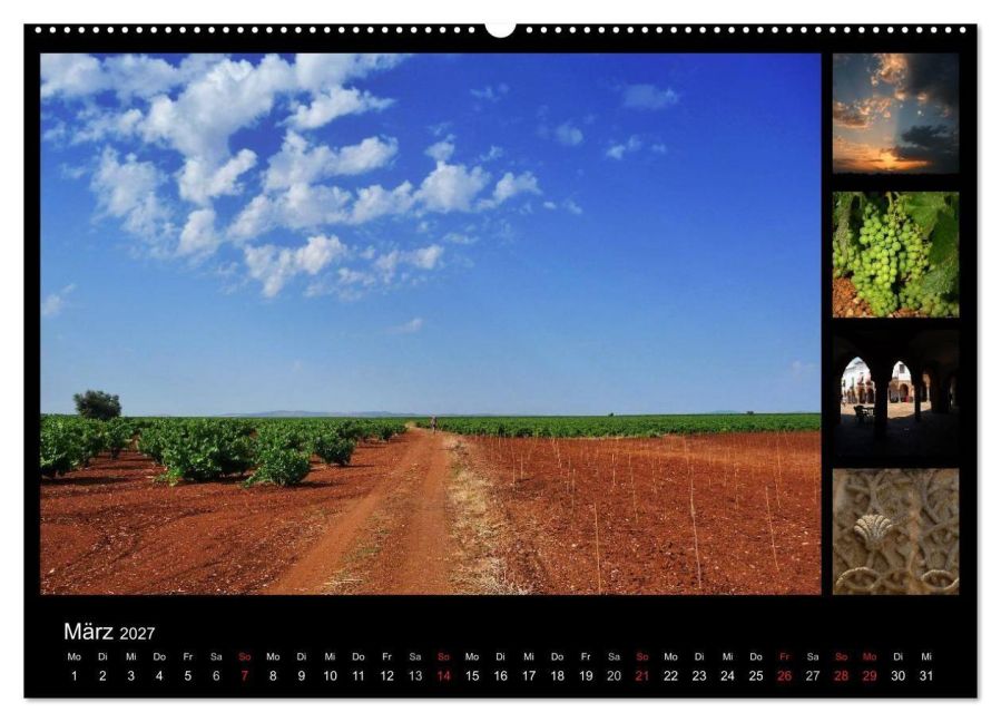 InsideView 8