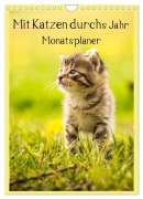 Cover-Bild zum Titel 'Mit Katzen durchs Jahr / Planer (Wandkalender 2026 DIN A4 hoch), CALVENDO Monatskalender' von 'Yvonne Obermüller Fotografie'