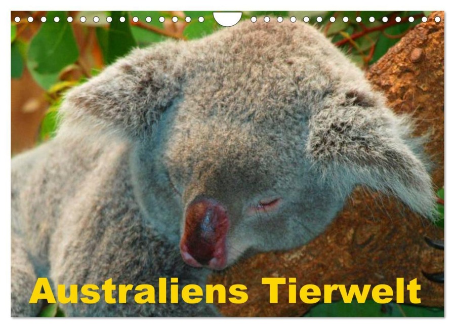 Australiens Tierwelt (Wandkalender 2026 DIN A4 quer), CALVENDO Monatskalender - Elisabeth Stanzer