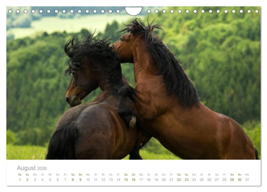 InsideView 13