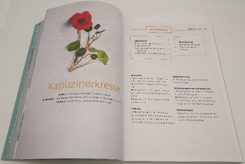 InsideView 5