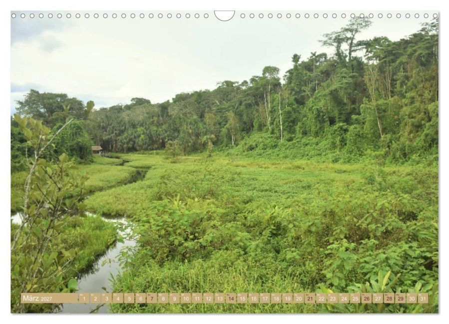 InsideView 8
