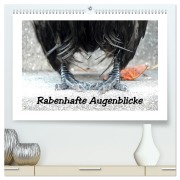 Cover-Bild zum Titel 'Rabenhafte Augenblicke (hochwertiger Premium Wandkalender 2026 DIN A2 quer), Kunstdruck in Hochglanz' von 'Meike Ajo. Dettlaff'