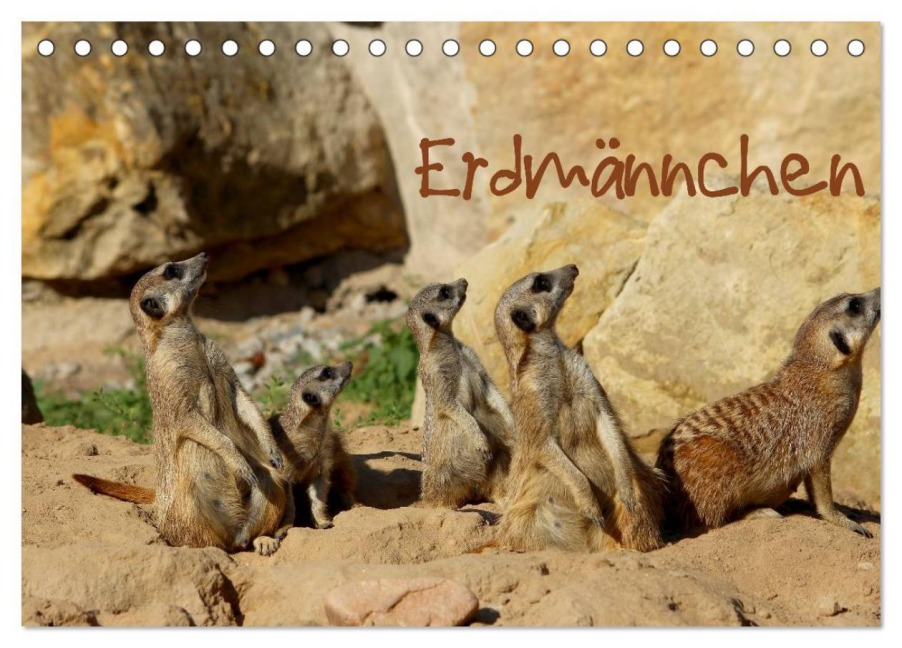 Erdmännchen (Tischkalender 2026 DIN A5 quer), CALVENDO Monatskalender - Heike Hultsch