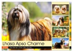 Lhasa Apso Charme. Die kleinen Hüter des Glücks (Wandkalender 2026 DIN A2 quer), CALVENDO Monatskalender - Rose Hurley